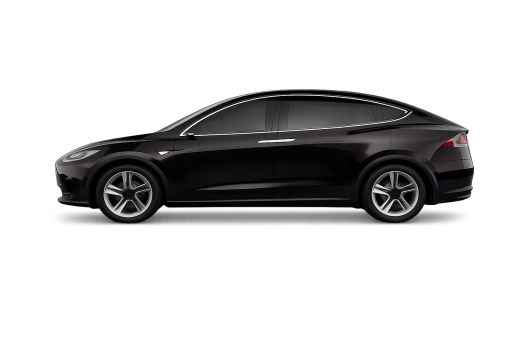 Model X