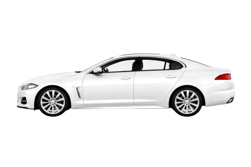 XF