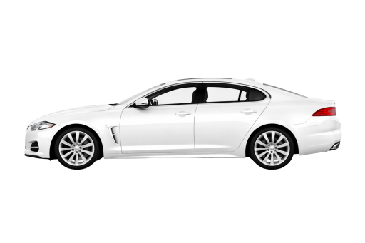 XF